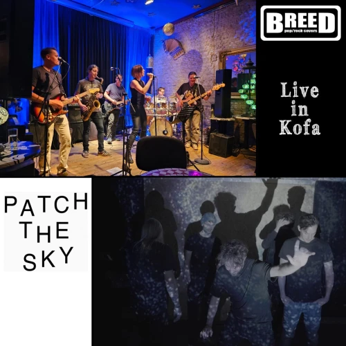 Patch the Sky & Breed live in KOFA