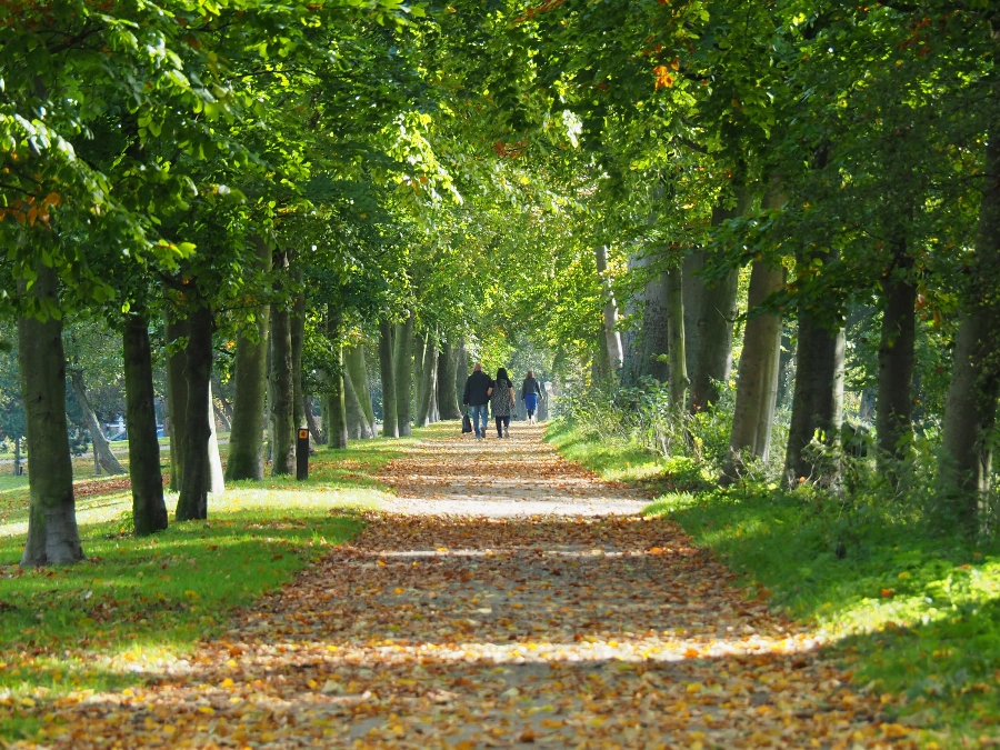 Vlaardingen is groen